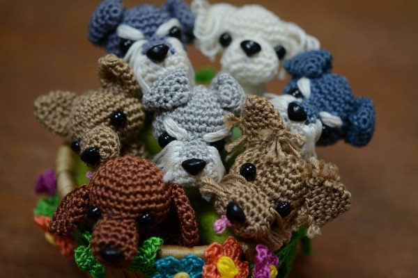 family toys_0116
