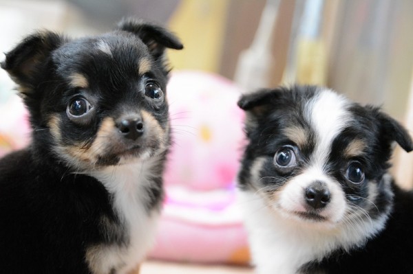 Louis＆Ron_0496